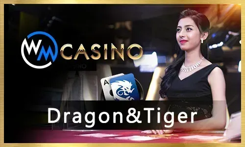Microgaming Slot Evolution